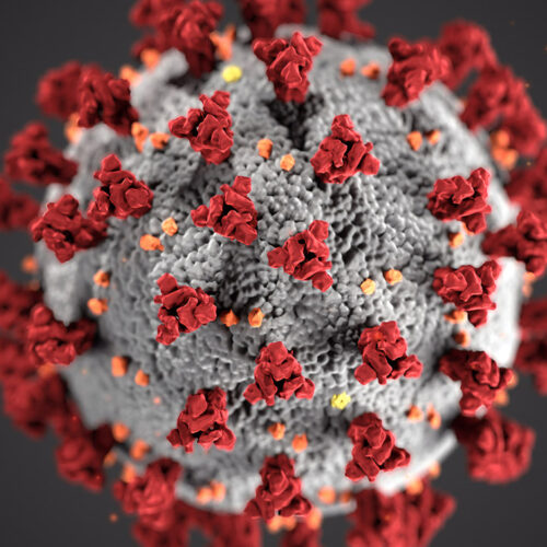 La diferencia entre coronavirus, gripe e influenza