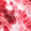 Notigenética: Variantes genéticas en el cáncer de mama
