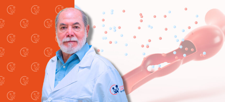 gildaro_dic NOTIGENÉTICA: REACCIÓN DE LAS CÉLULAS CANCEROSAS ANTE LA GLUCOSA